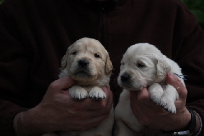 Nouvelles photos des bébés